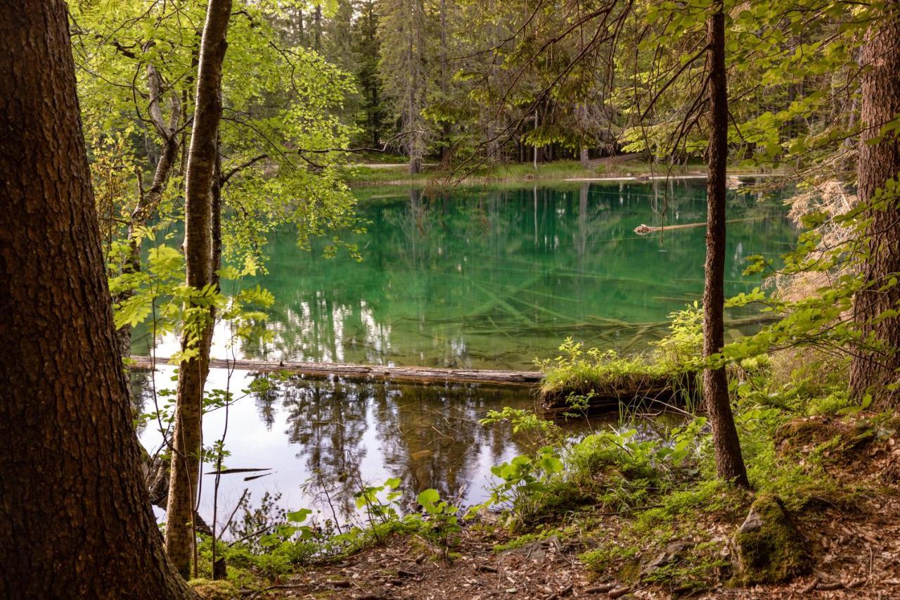 Almhuetten Sonnblick & Almfried ซอนเนนอัลเพอ นัสส์เฟลด์ ภายนอก รูปภาพ